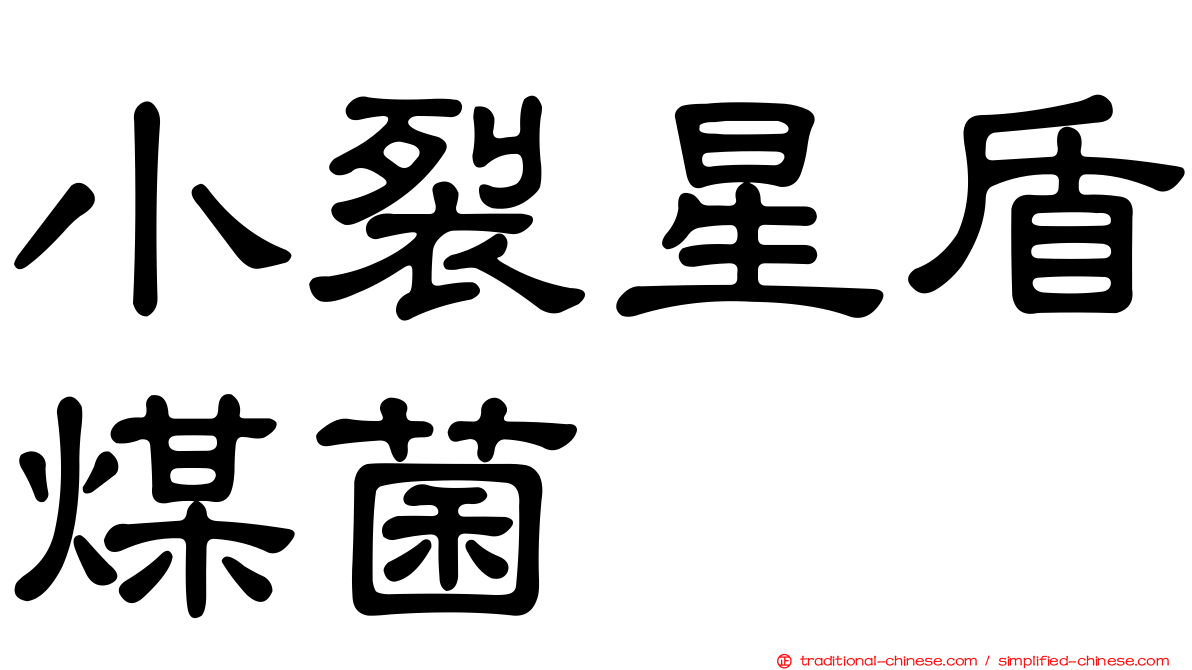 小裂星盾煤菌