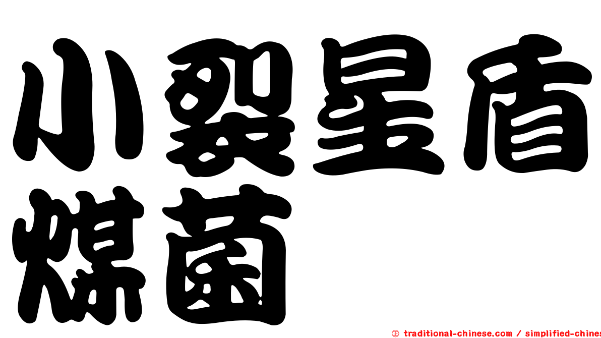 小裂星盾煤菌