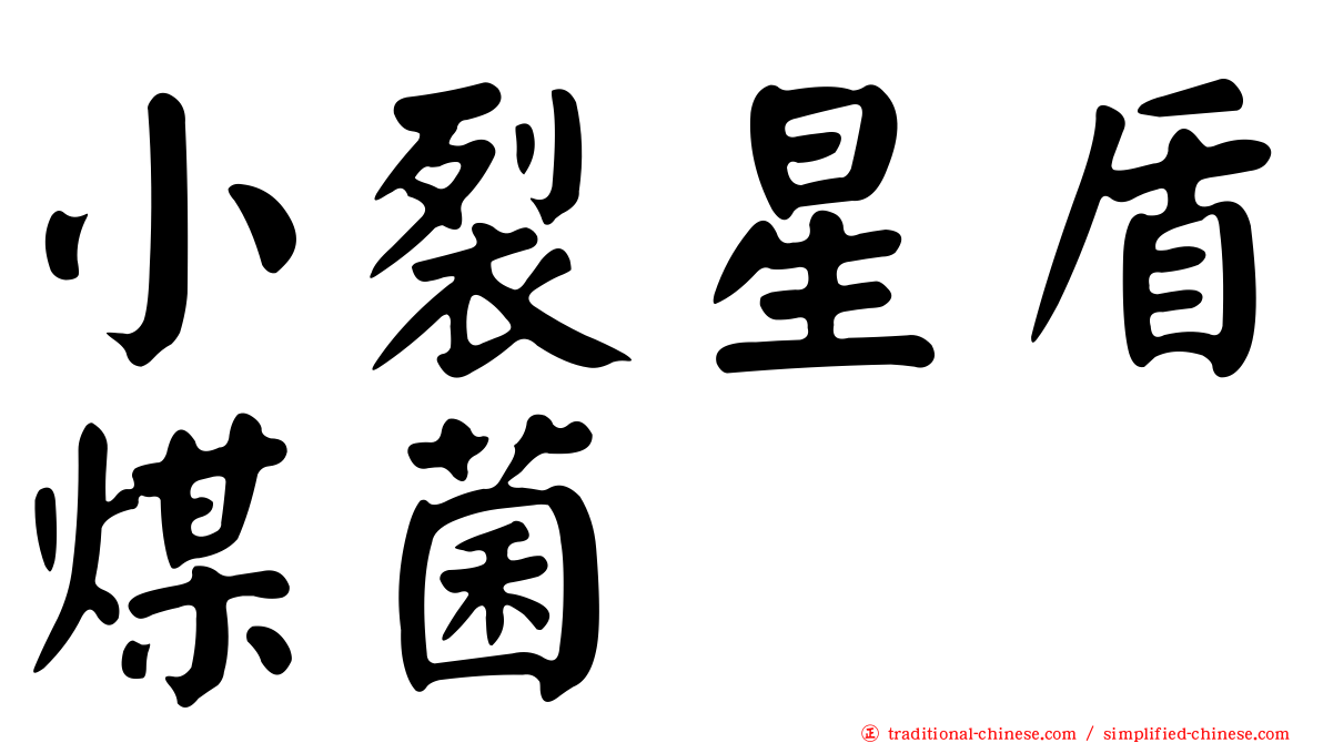 小裂星盾煤菌