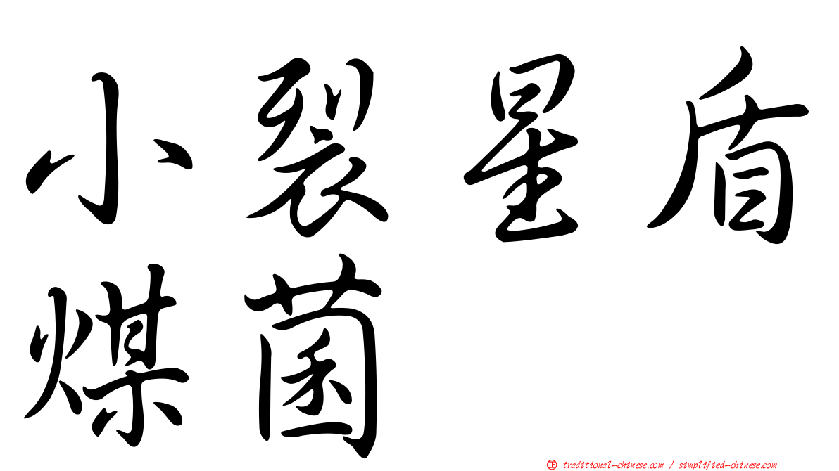 小裂星盾煤菌