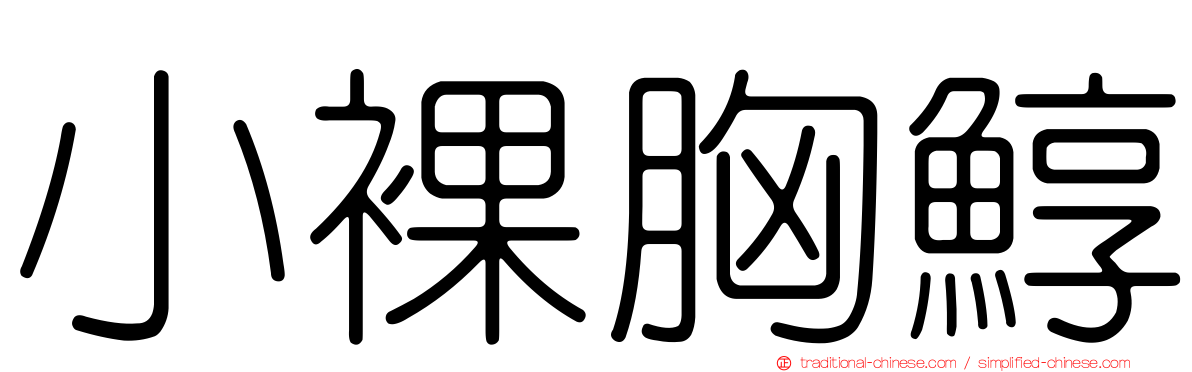 小裸胸鯙
