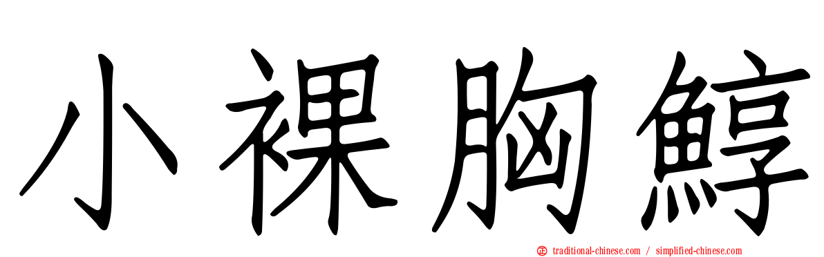 小裸胸鯙