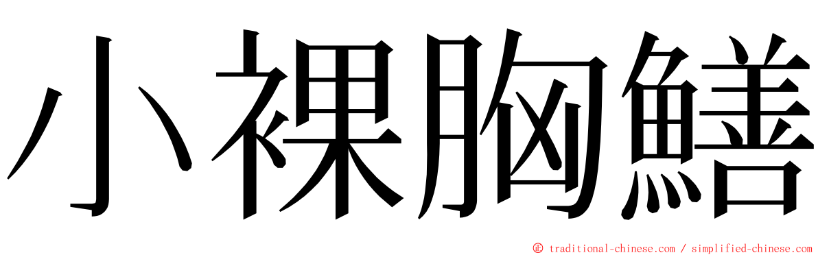 小裸胸鱔 ming font
