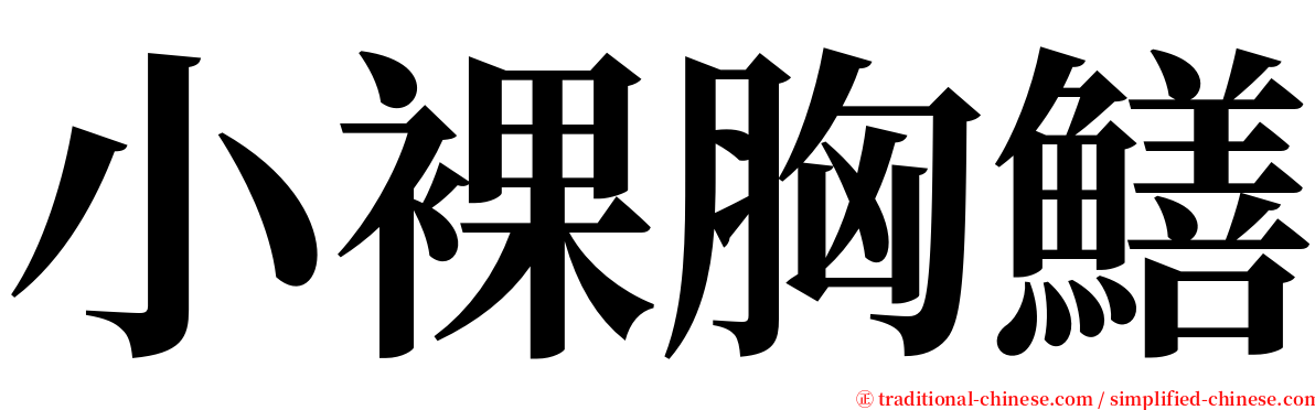 小裸胸鱔 serif font