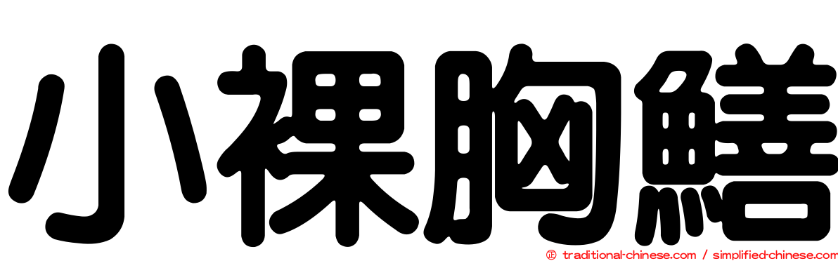 小裸胸鱔