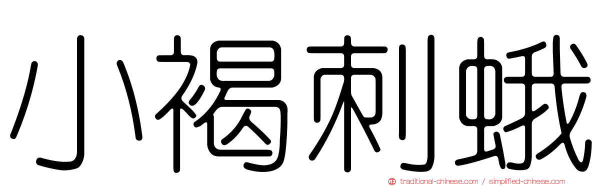 小褐刺蛾