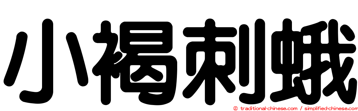 小褐刺蛾