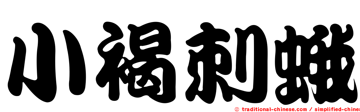 小褐刺蛾