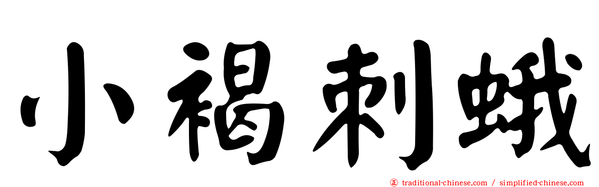 小褐刺蛾