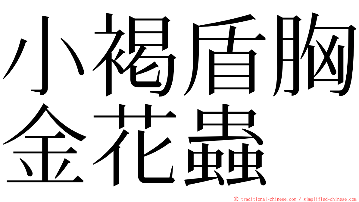 小褐盾胸金花蟲 ming font