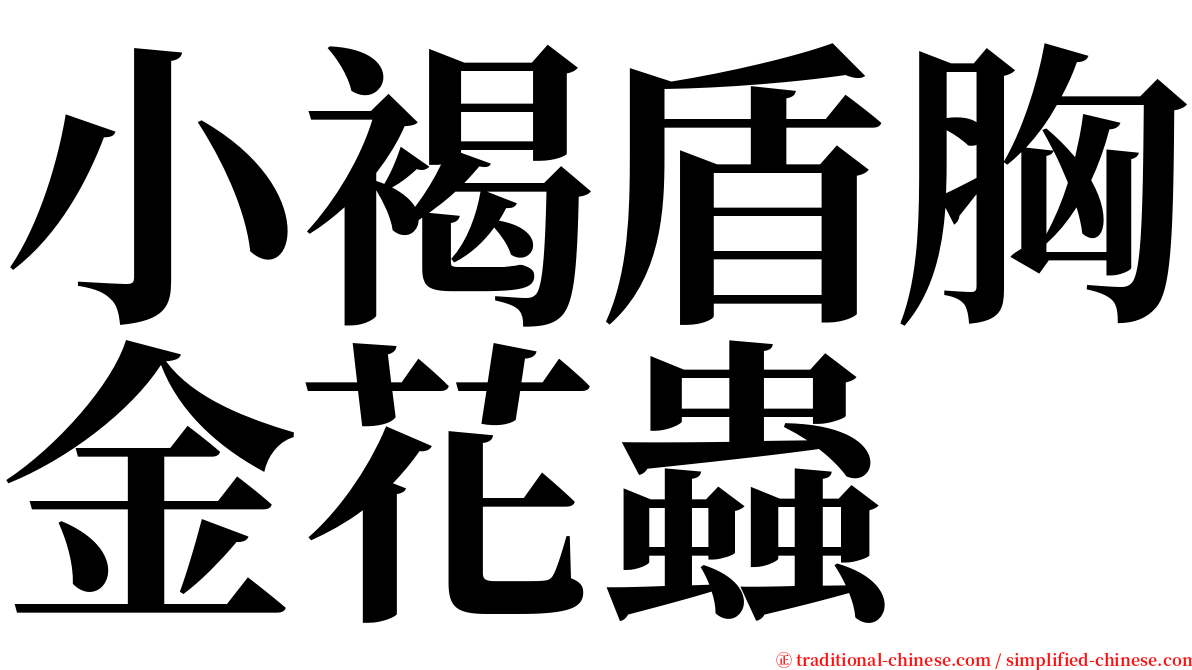 小褐盾胸金花蟲 serif font