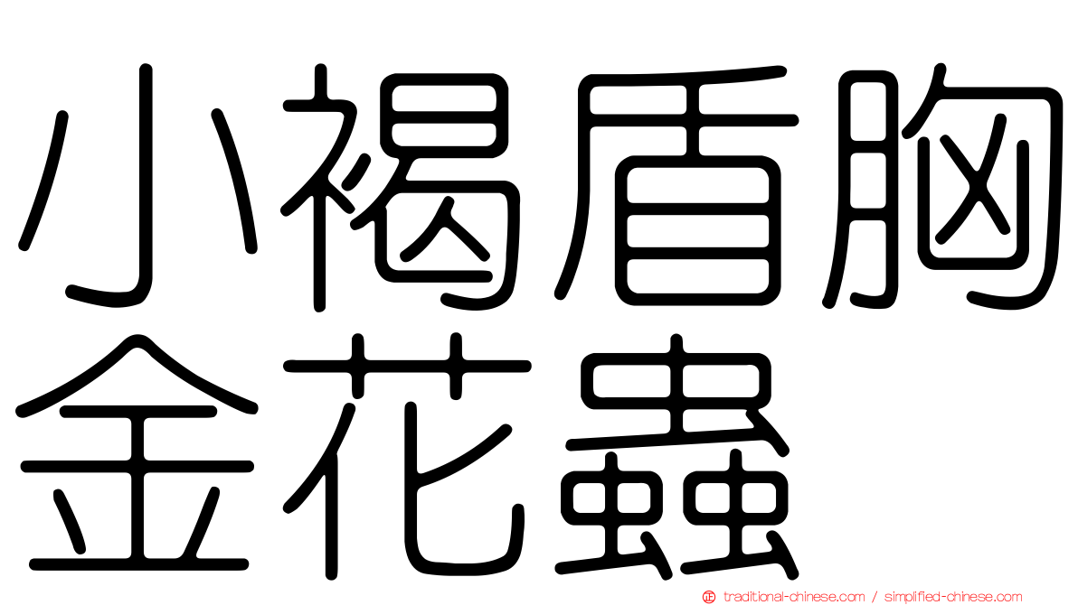 小褐盾胸金花蟲