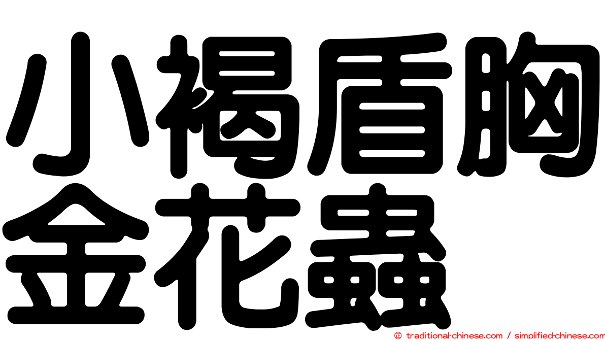 小褐盾胸金花蟲