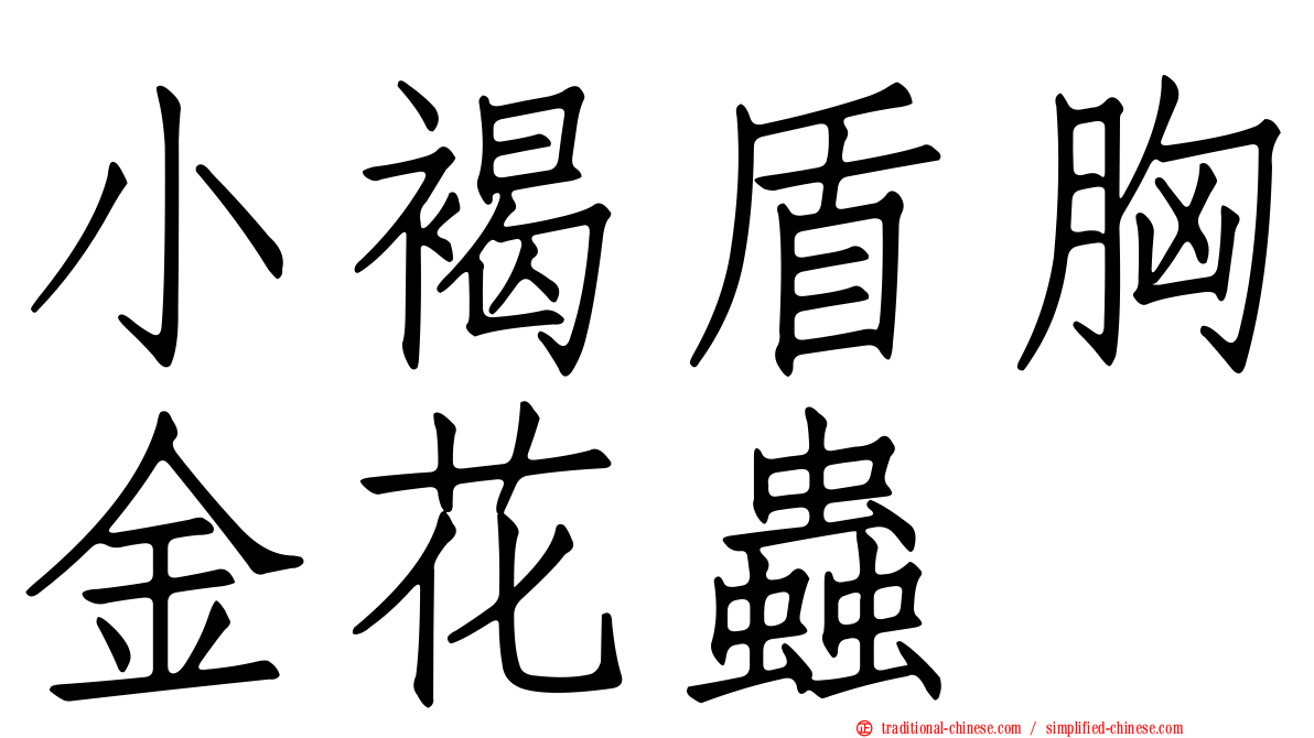 小褐盾胸金花蟲