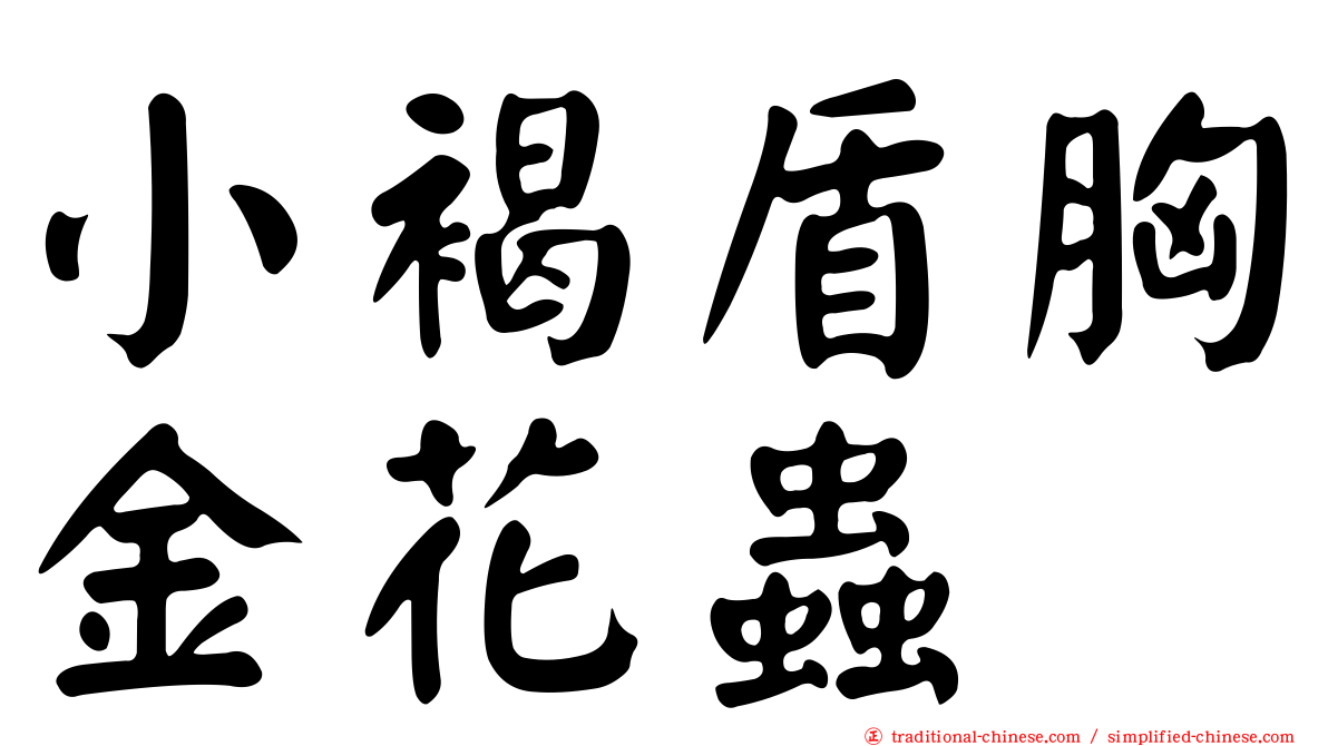 小褐盾胸金花蟲