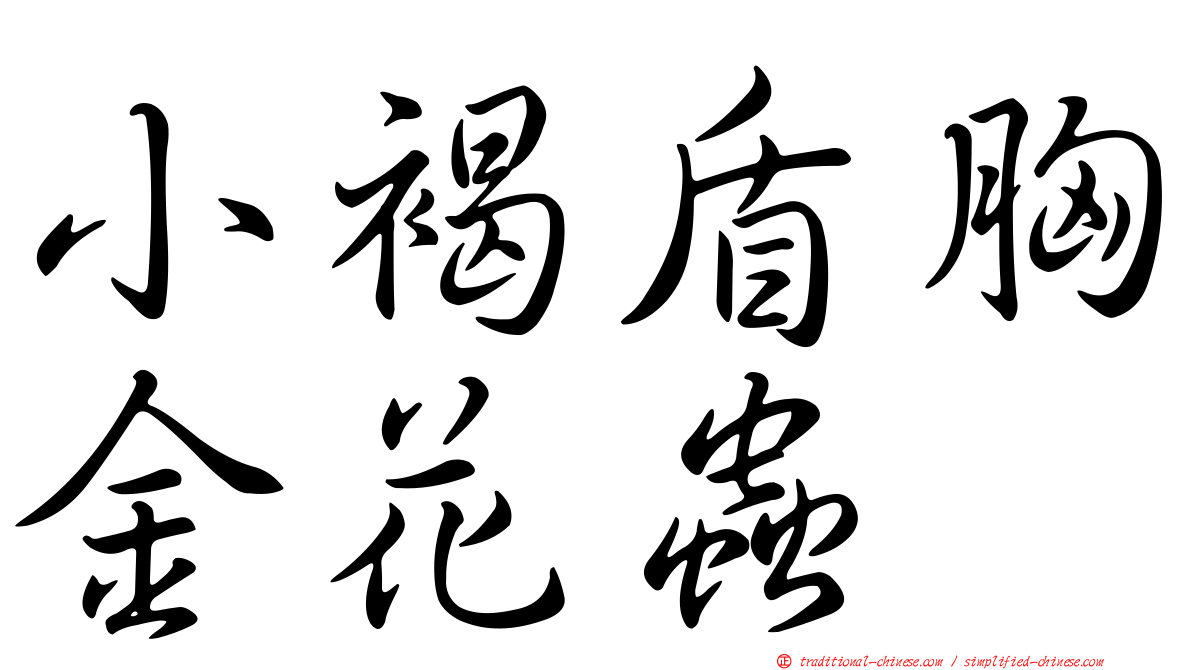 小褐盾胸金花蟲