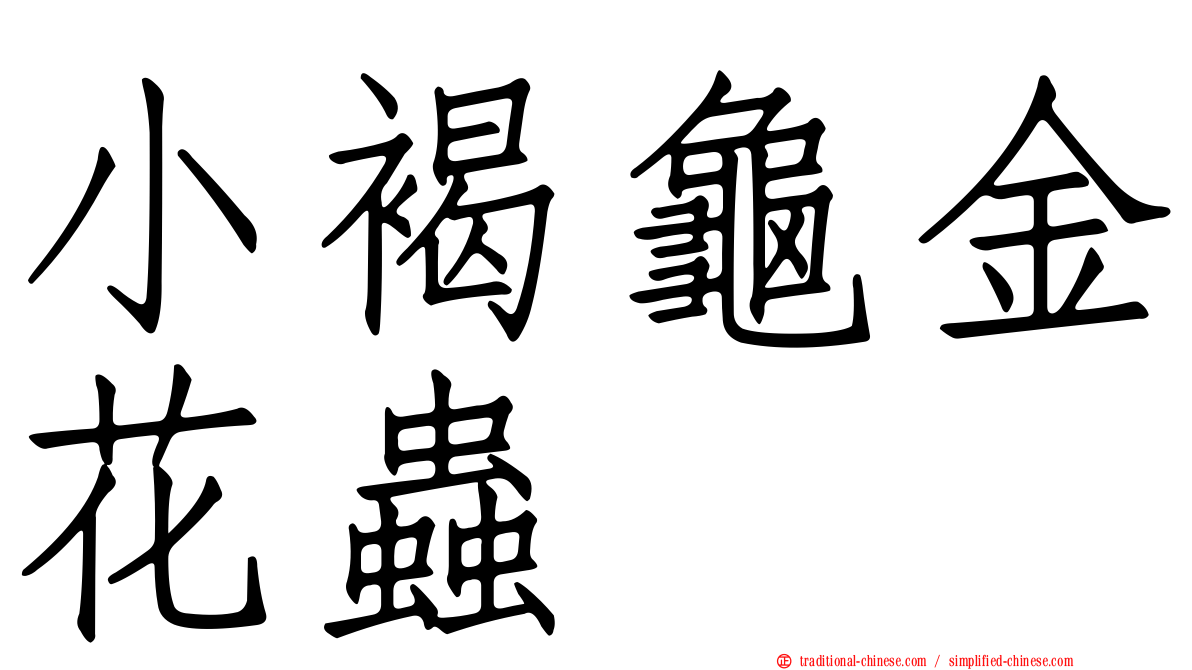 小褐龜金花蟲