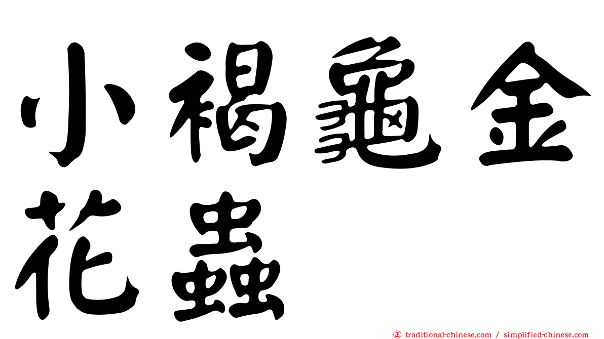 小褐龜金花蟲