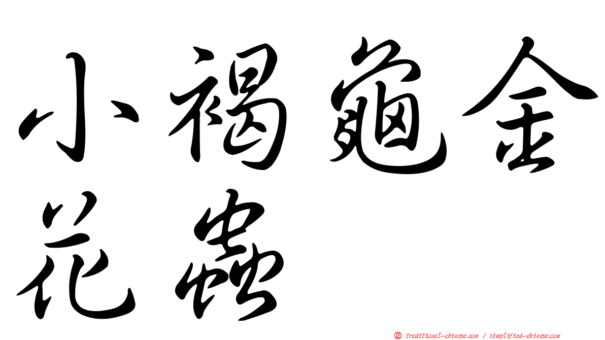 小褐龜金花蟲