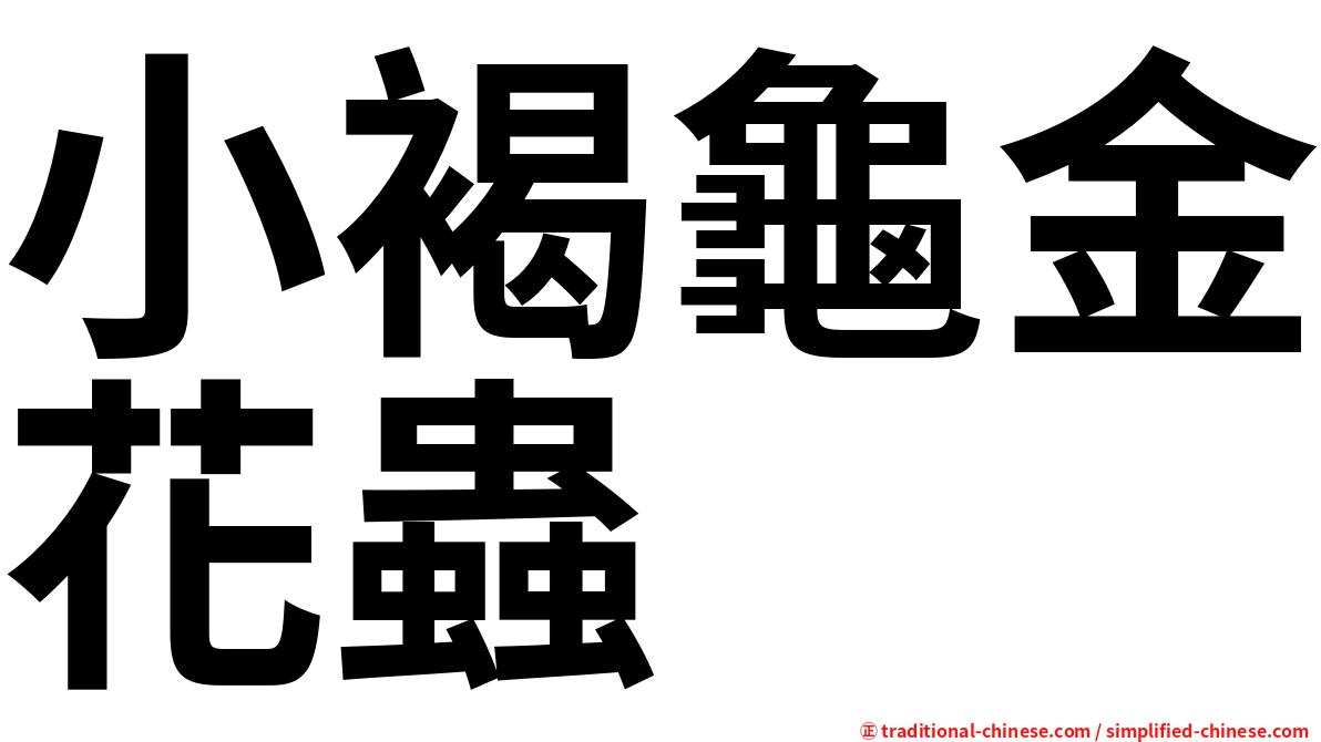 小褐龜金花蟲