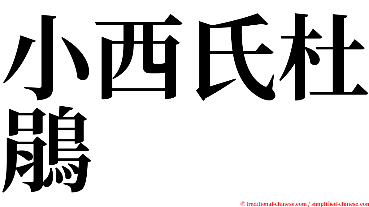 小西氏杜鵑 serif font