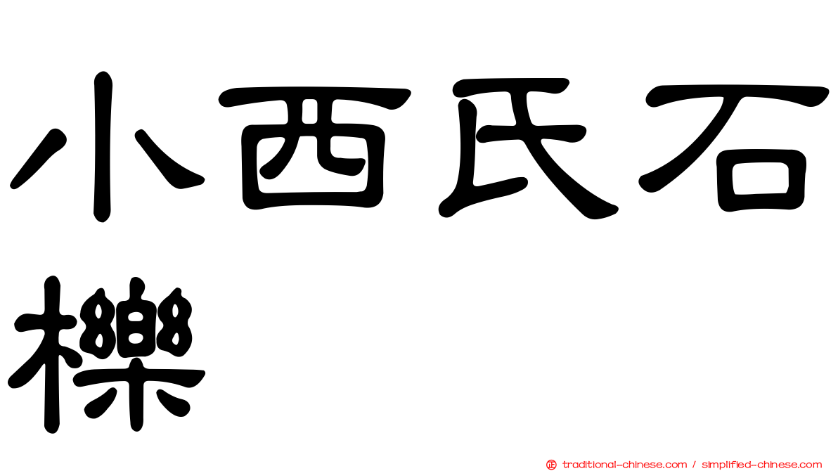 小西氏石櫟