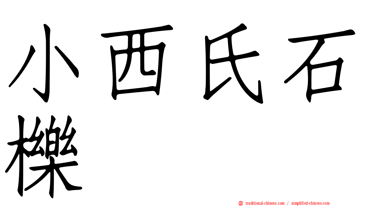 小西氏石櫟