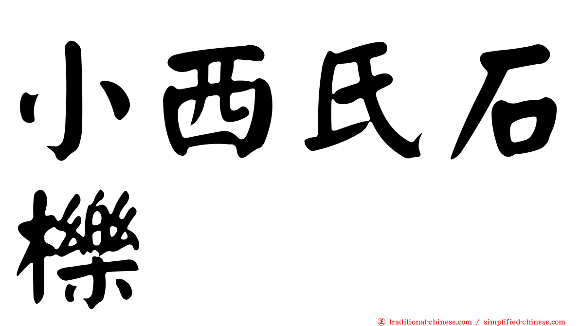 小西氏石櫟