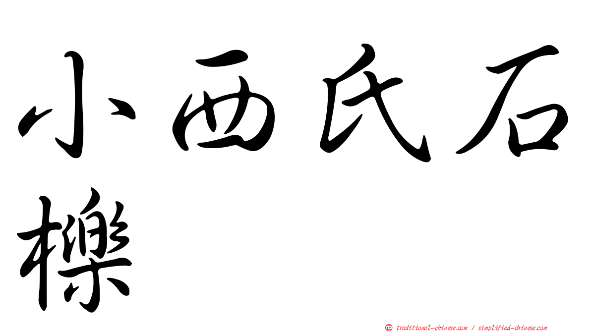 小西氏石櫟