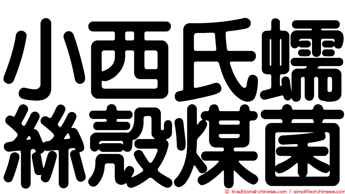 小西氏蠕絲殼煤菌