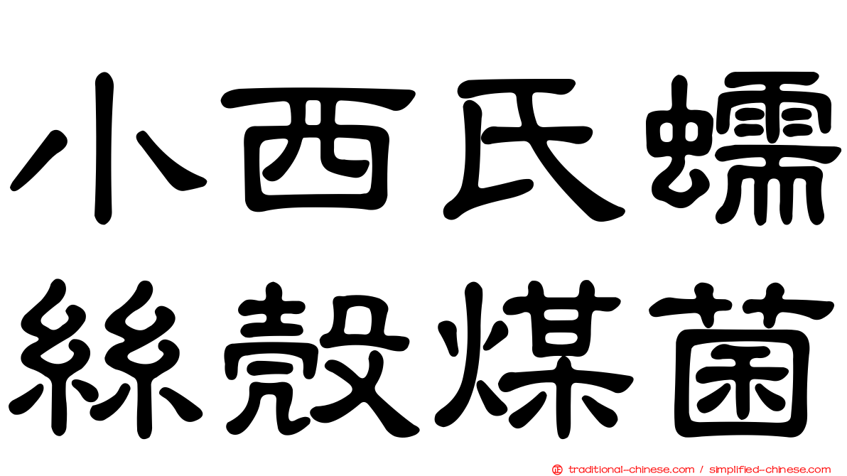 小西氏蠕絲殼煤菌
