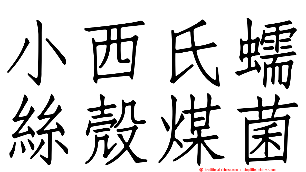 小西氏蠕絲殼煤菌