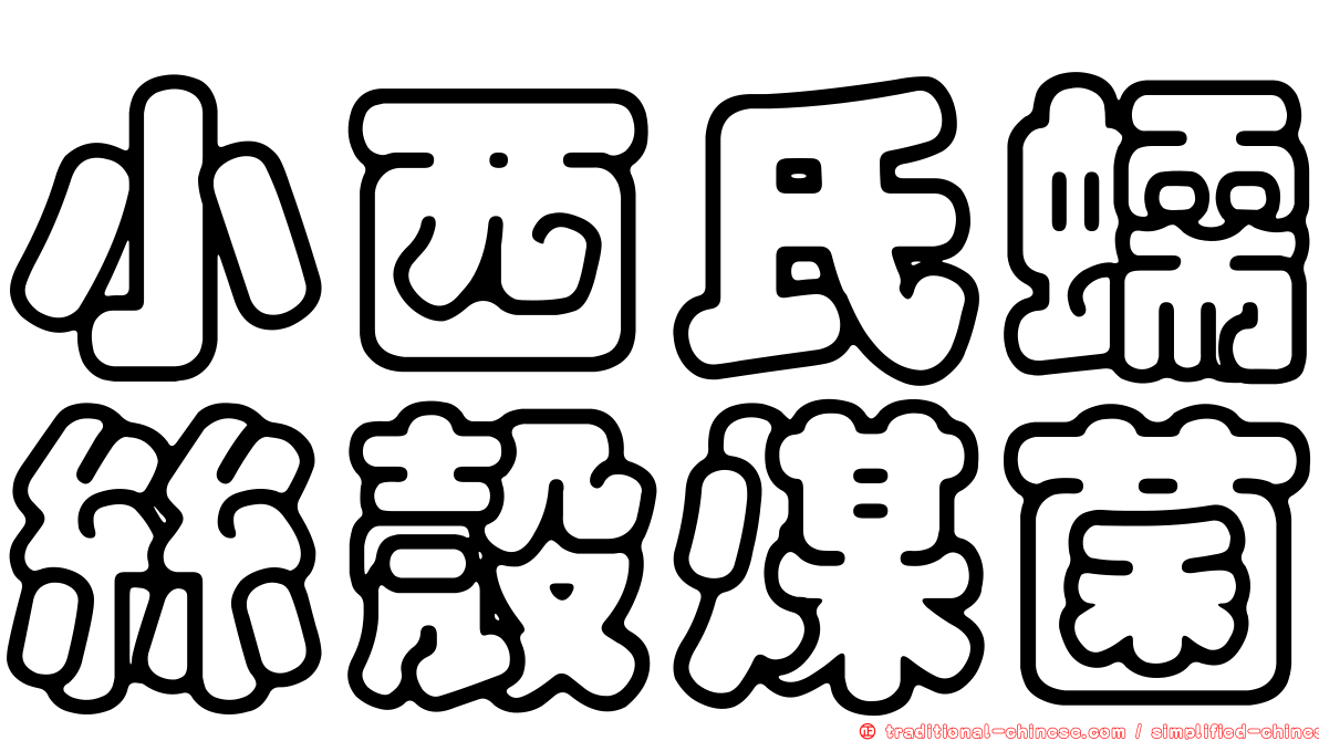 小西氏蠕絲殼煤菌