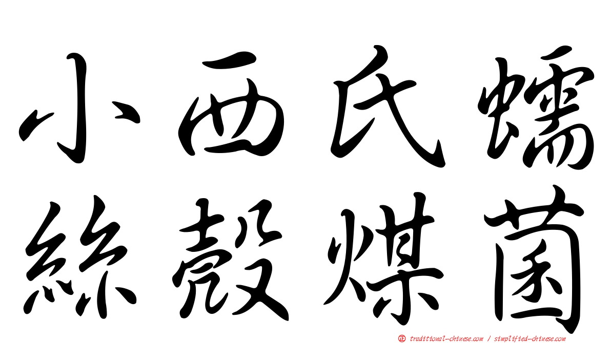小西氏蠕絲殼煤菌