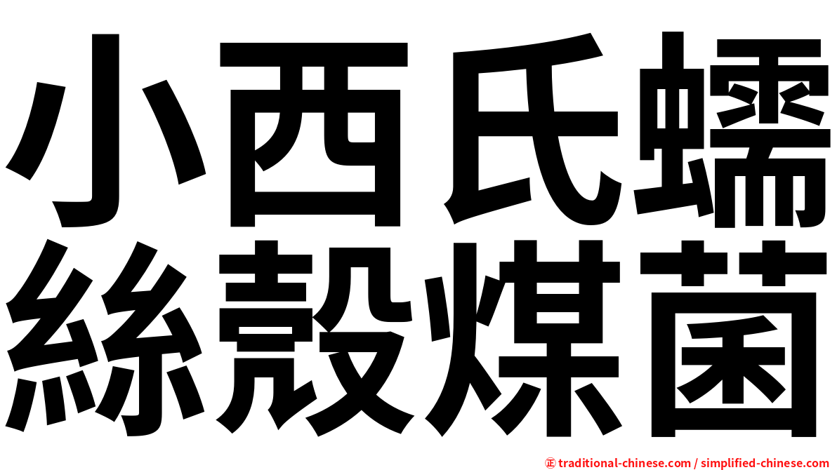 小西氏蠕絲殼煤菌