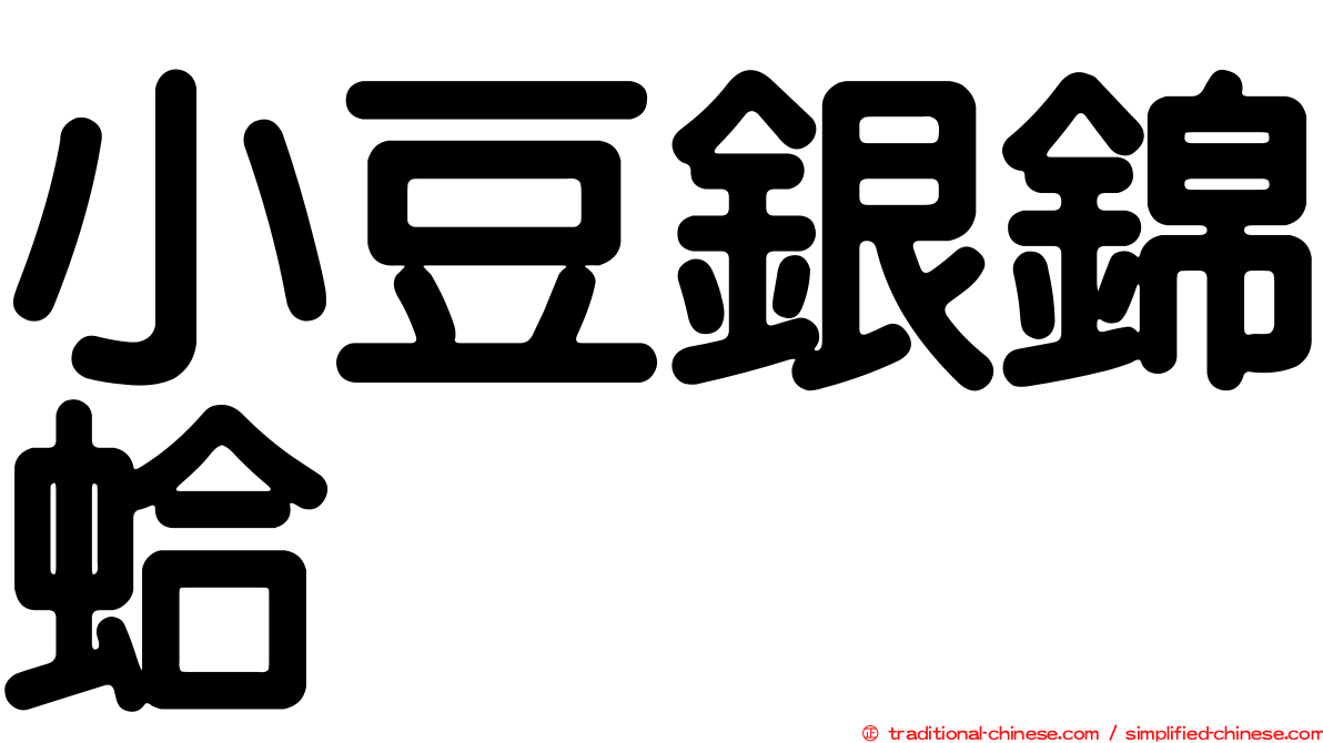 小豆銀錦蛤