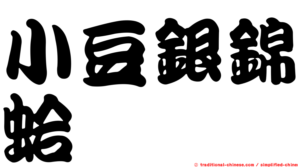 小豆銀錦蛤