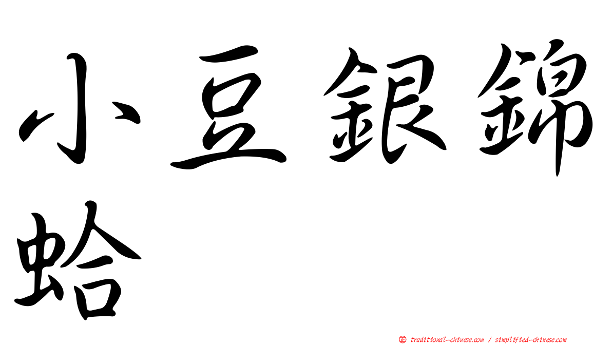 小豆銀錦蛤