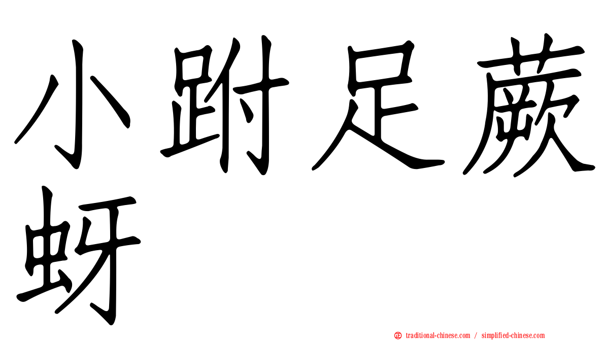 小跗足蕨蚜