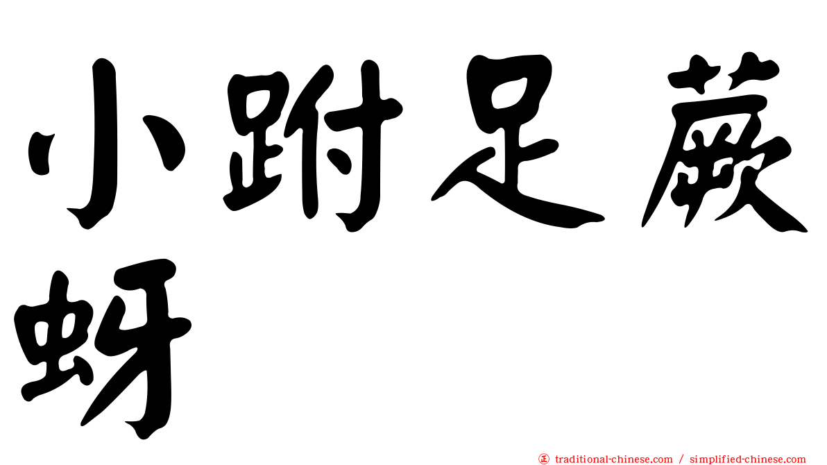 小跗足蕨蚜