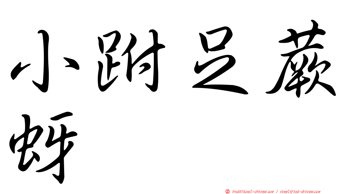 小跗足蕨蚜