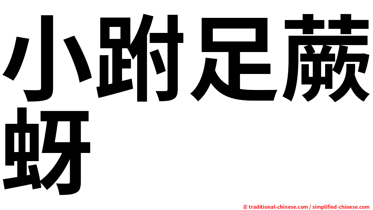 小跗足蕨蚜