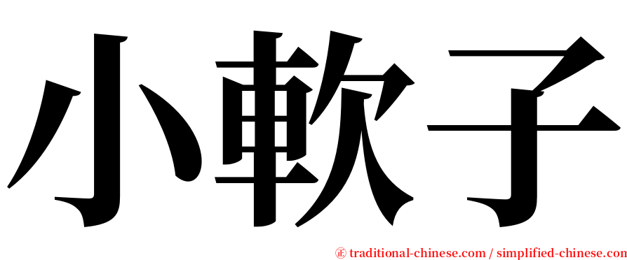 小軟子 serif font