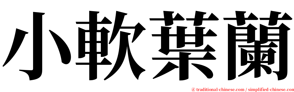 小軟葉蘭 serif font