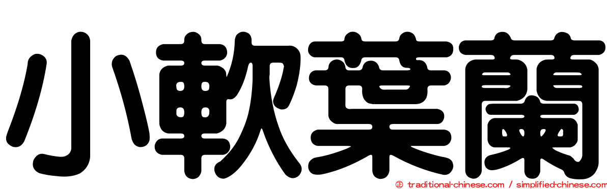 小軟葉蘭