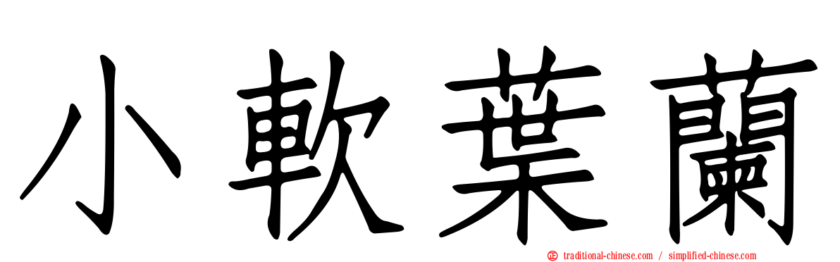 小軟葉蘭