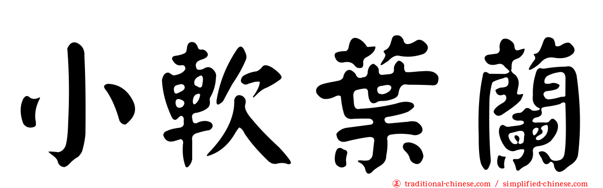 小軟葉蘭