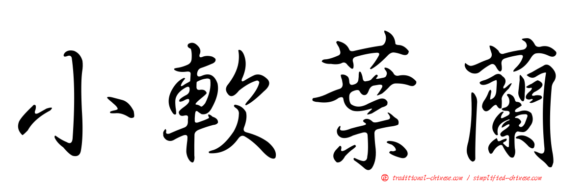 小軟葉蘭