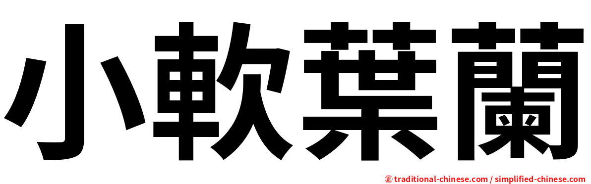 小軟葉蘭
