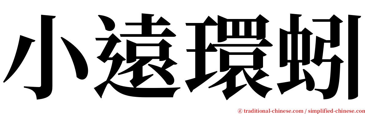 小遠環蚓 serif font